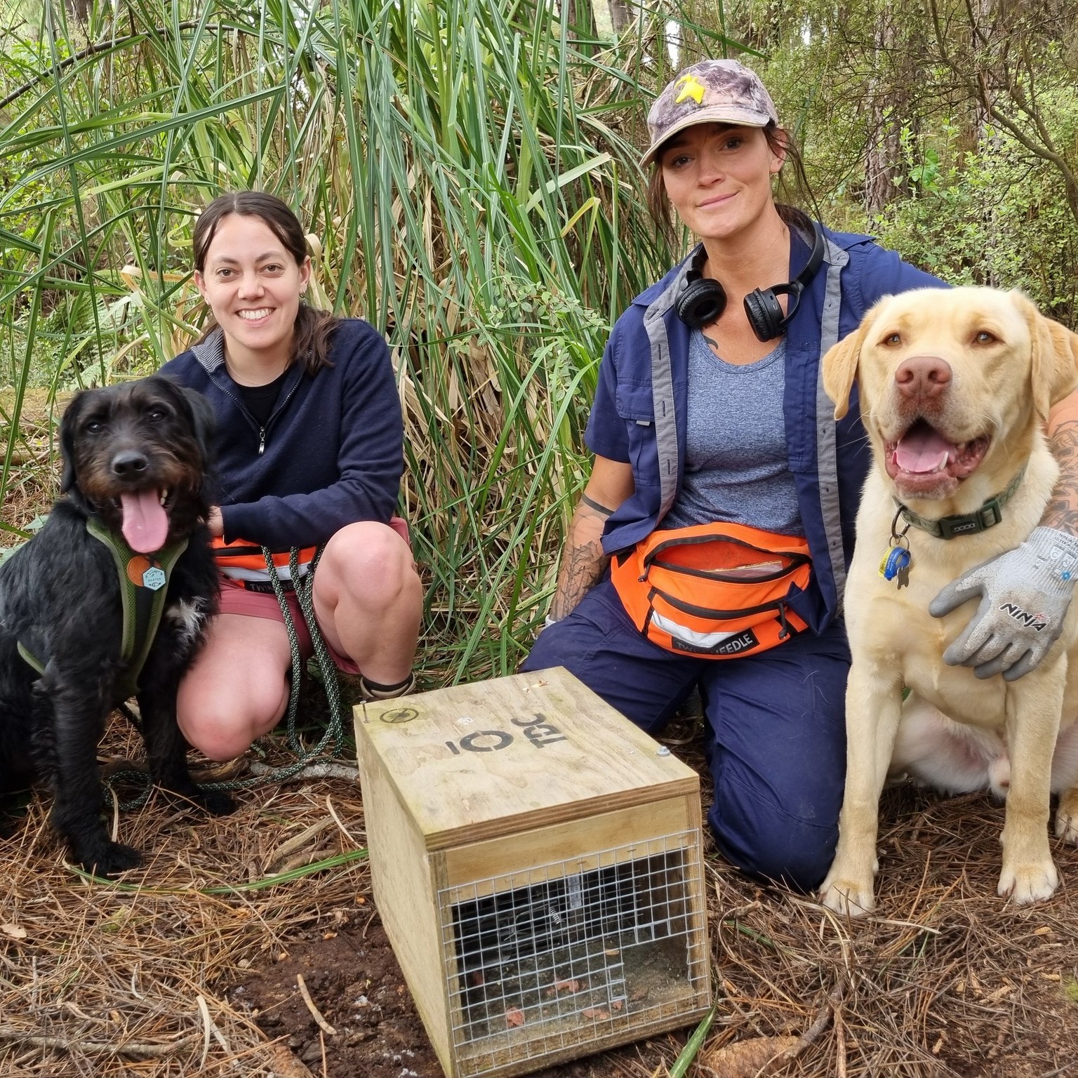 Taupō District Council environmental advisor Emma Naylor (left) and district ecological ranger Brenna Bird, along with their helpers ex-pound dog Baxter and Tahi, checking traps in Spa Park.  