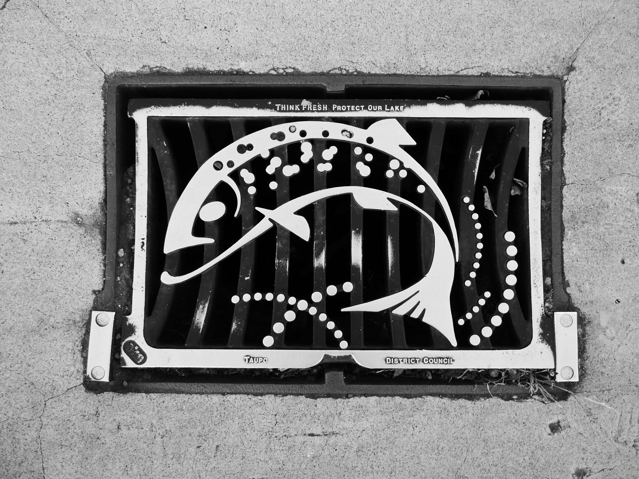 Stormwater drain with fish symbol.  