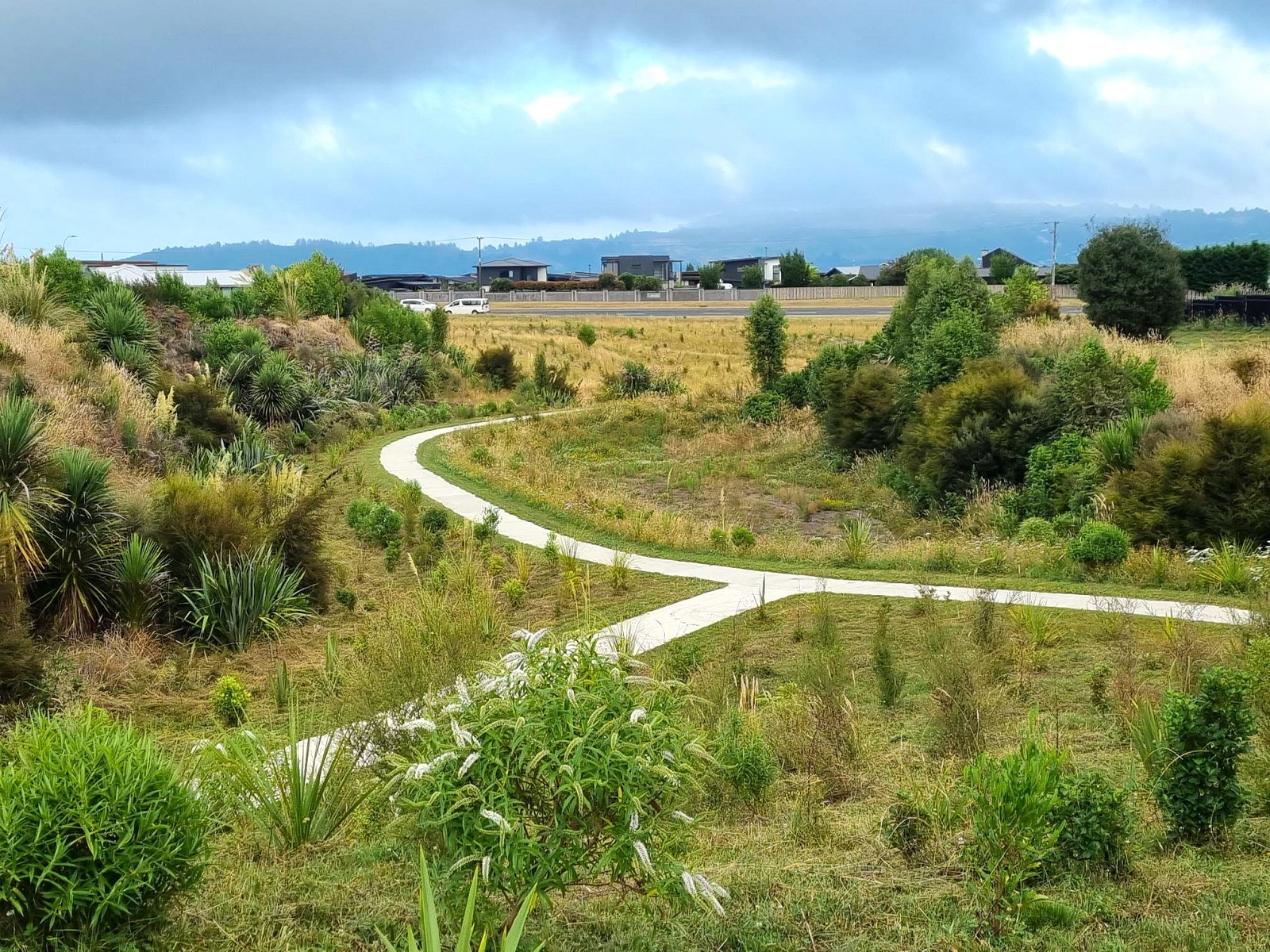 Stormwater gully in Kokomea, Taupo.  